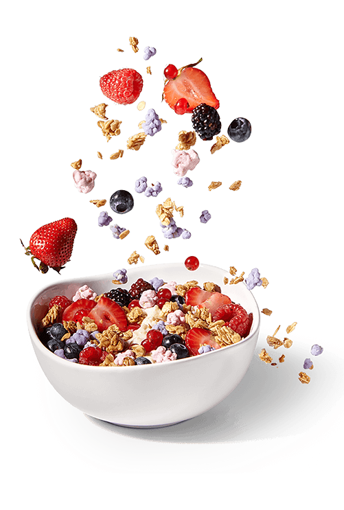 OatmealBowlFlatdk
